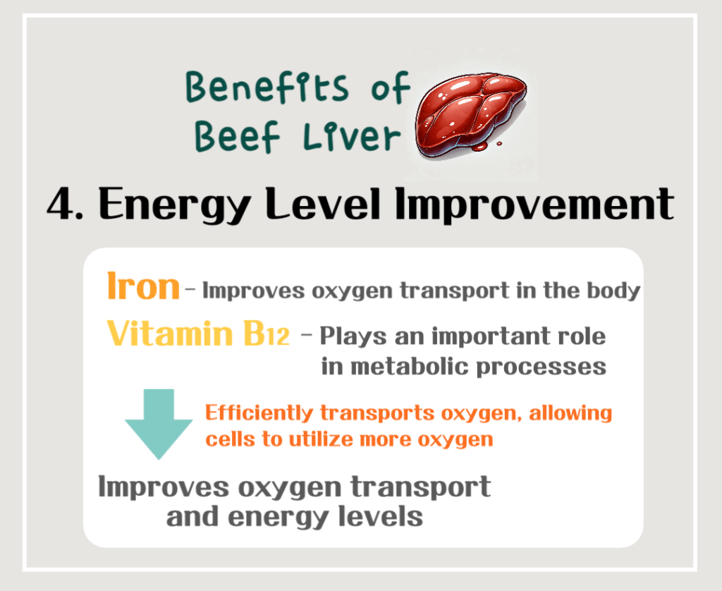 Nutritional Treasure: The Benefits and Calories of Beef Liver - From Anemia Prevention to Skin Health