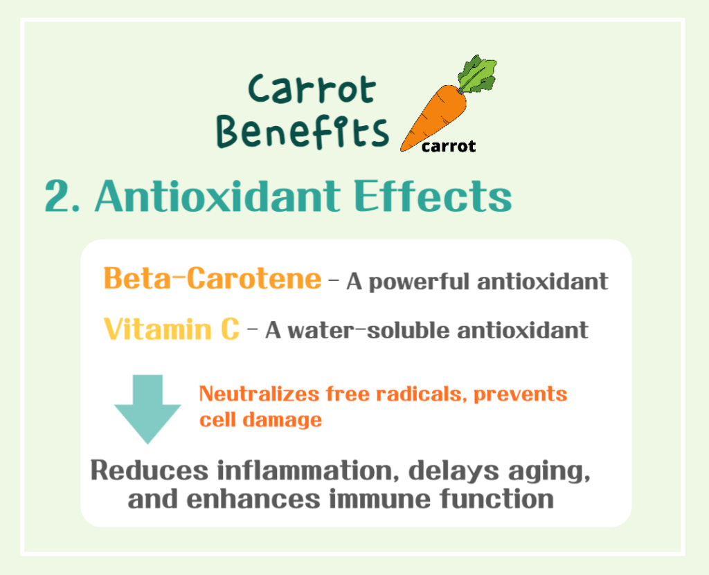 The Magical Orange Vegetable! Carrot Benefits and Calories : The Health Secrets of Beta-Carotene
