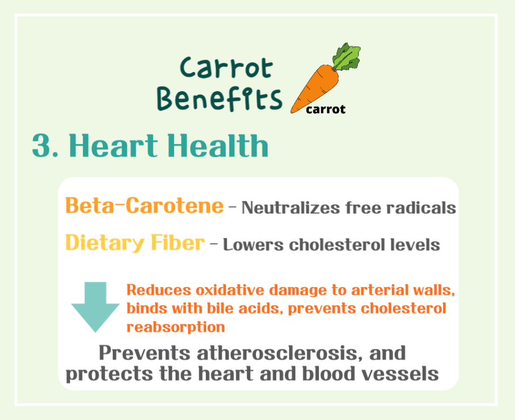 The Magical Orange Vegetable! Carrot Benefits and Calories : The Health Secrets of Beta-Carotene
