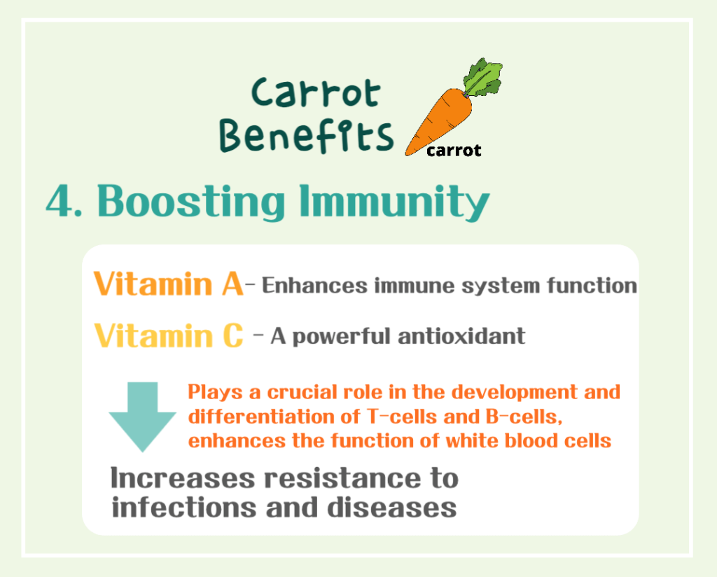 The Magical Orange Vegetable! Carrot Benefits and Calories : The Health Secrets of Beta-Carotene