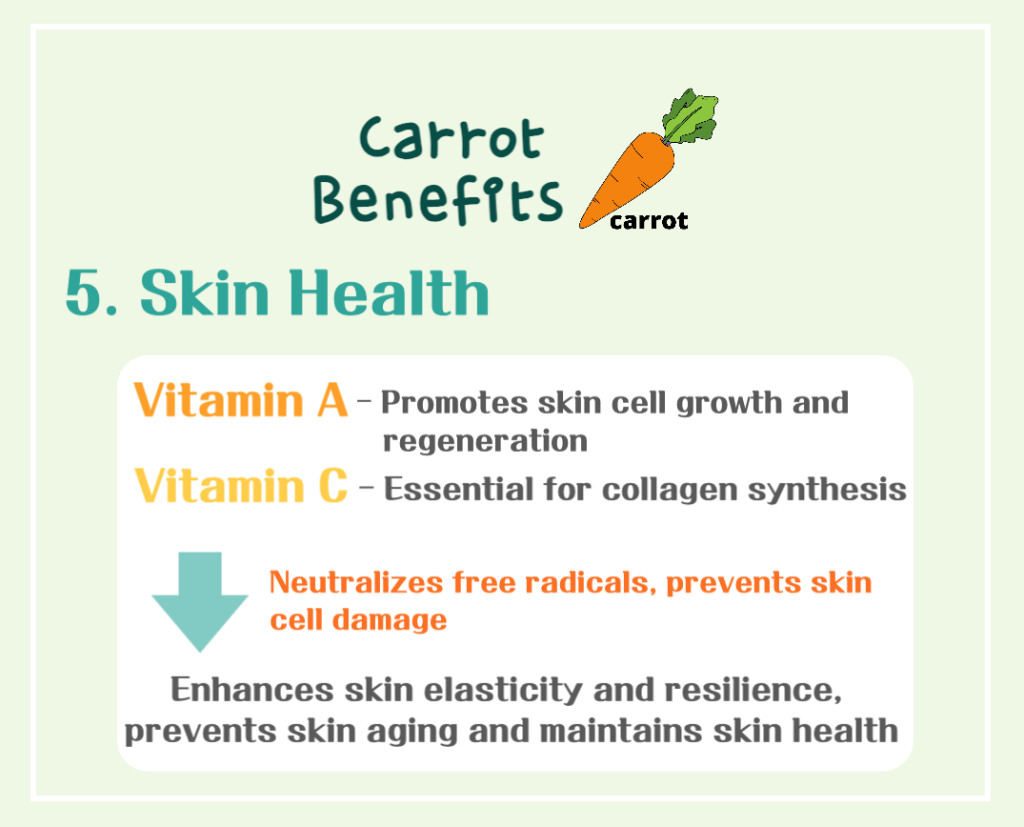 The Magical Orange Vegetable! Carrot Benefits and Calories : The Health Secrets of Beta-Carotene