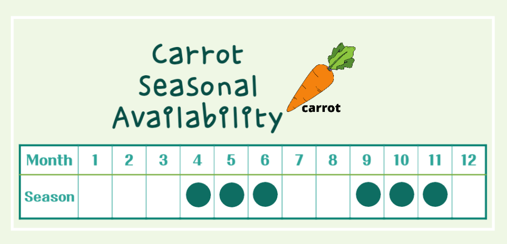 The Magical Orange Vegetable! Carrot Benefits and Calories : The Health Secrets of Beta-Carotene