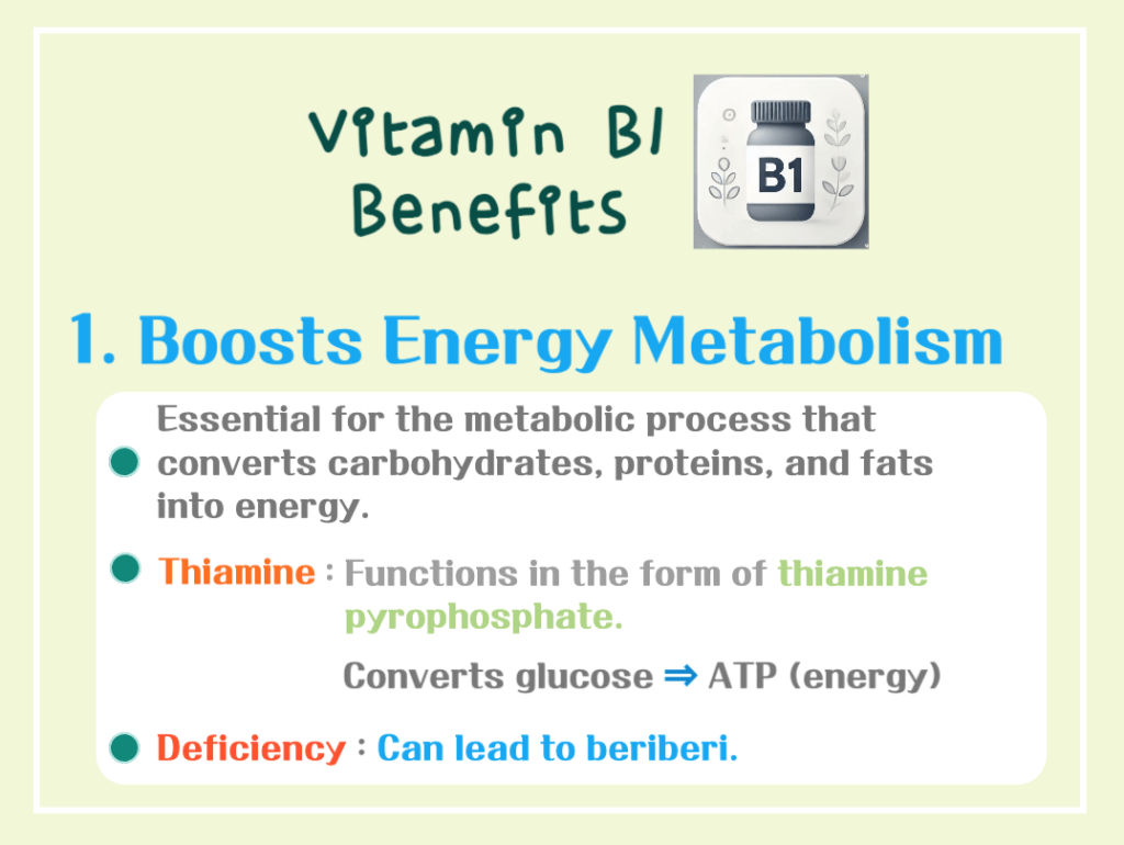 5 Key Benefits of Vitamin B1: An Essential Nutrient for Daily Vitality