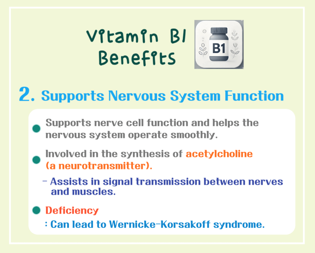 5 Key Benefits of Vitamin B1: An Essential Nutrient for Daily Vitality