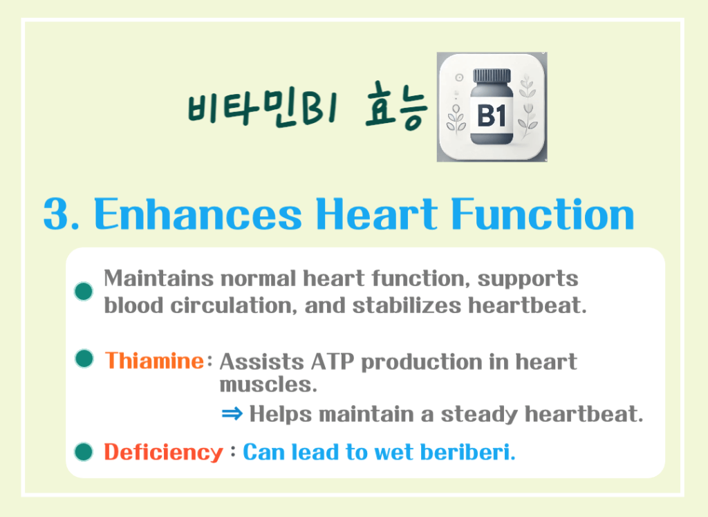 5 Key Benefits of Vitamin B1: An Essential Nutrient for Daily Vitality