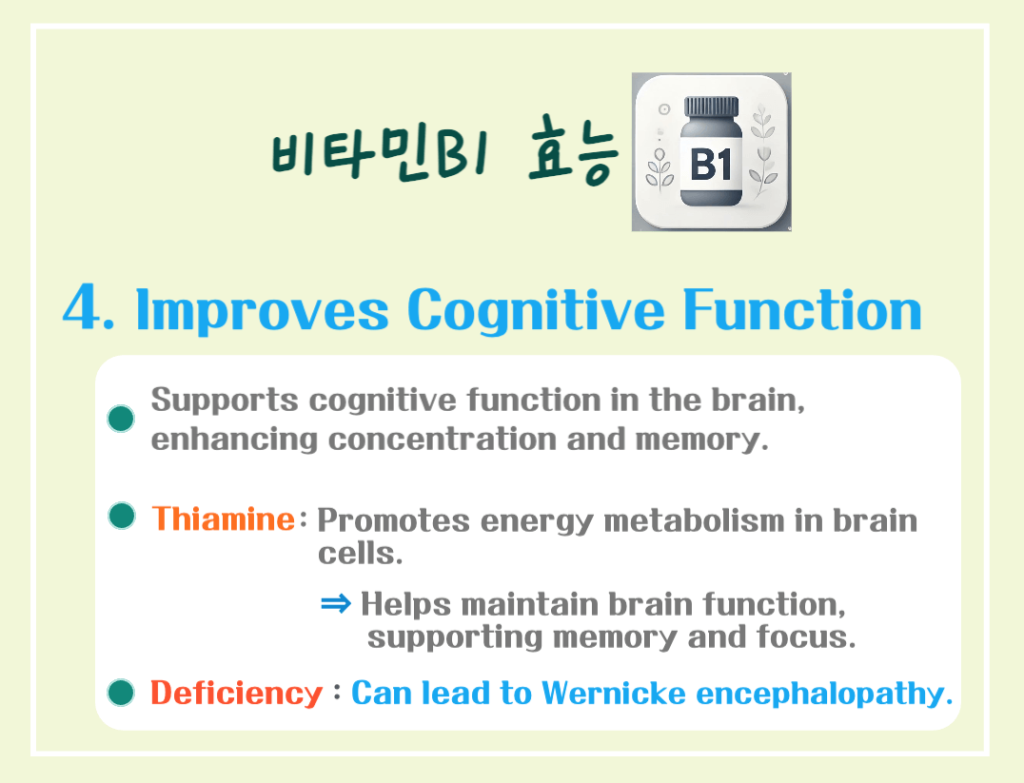 5 Key Benefits of Vitamin B1: An Essential Nutrient for Daily Vitality