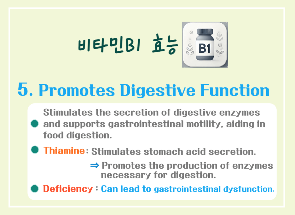 5 Key Benefits of Vitamin B1: An Essential Nutrient for Daily Vitality