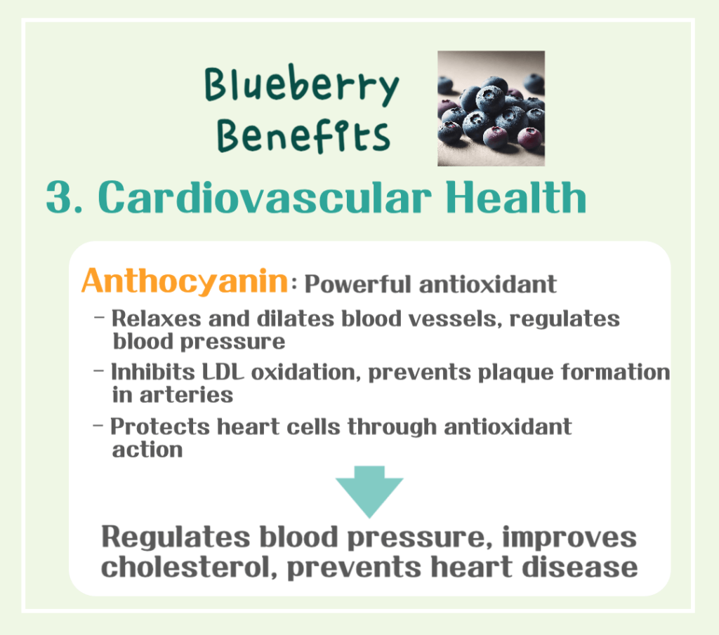 Blueberry Superpowers Unveiled: Benefits, Calories & Antioxidant Secrets!