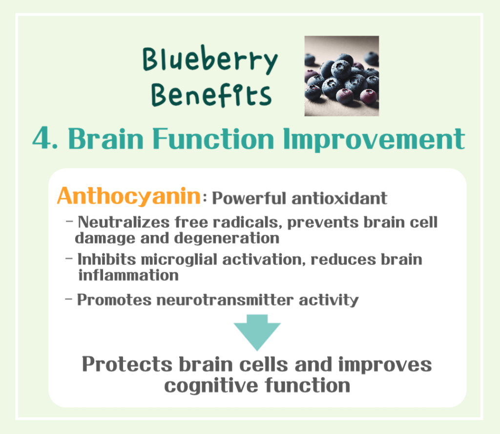 Blueberry Superpowers Unveiled: Benefits, Calories & Antioxidant Secrets!