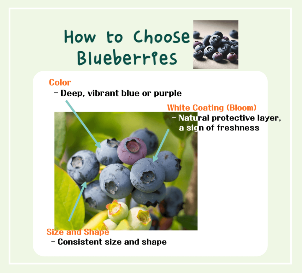 Blueberry Superpowers Unveiled: Benefits, Calories & Antioxidant Secrets!