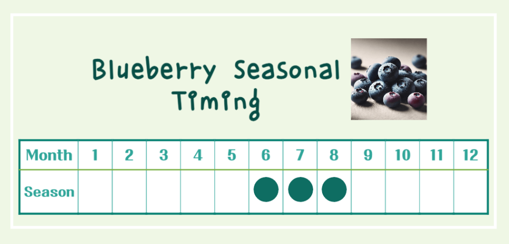 Blueberry Superpowers Unveiled: Benefits, Calories & Antioxidant Secrets!