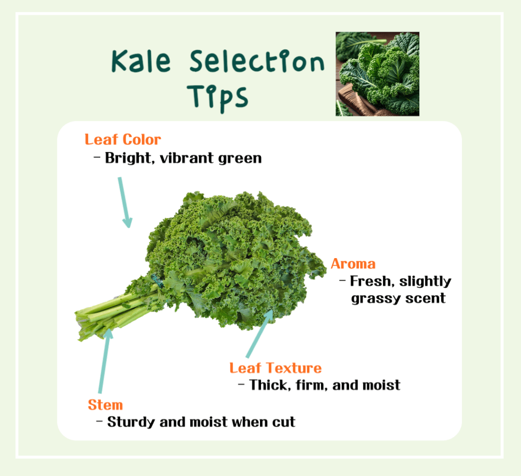 The Power of Vibrant Green Leaves! Kale Benefits & Calories: A Low-Calorie Nutritional Powerhouse