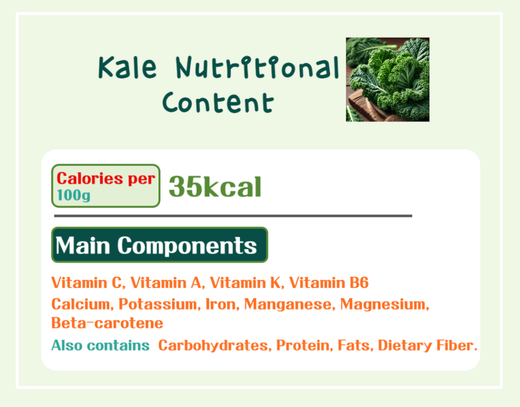 The Power of Vibrant Green Leaves! Kale Benefits & Calories: A Low-Calorie Nutritional Powerhouse