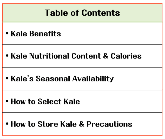 The Power of Vibrant Green Leaves! Kale Benefits & Calories: A Low-Calorie Nutritional Powerhouse