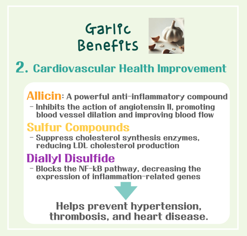 Garlic Benefits & Calories: How Allicin Makes It a Top 10 Superfood