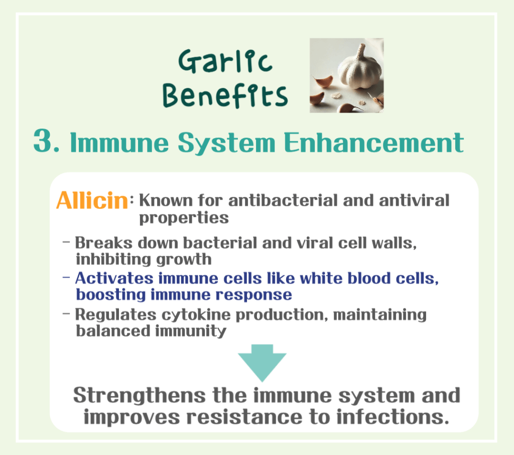 Garlic Benefits & Calories: How Allicin Makes It a Top 10 Superfood